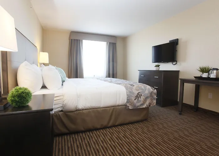 Pomeroy Inn & Suites At Olds College