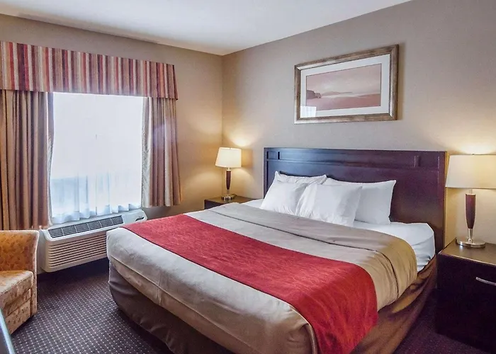Comfort Inn & Suites Sylvan Lake